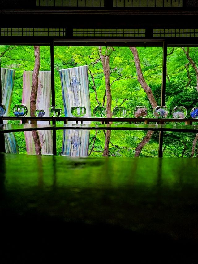 色の魔法に包まれて──光と水が奏でる、嵐山の異空間🎨✨