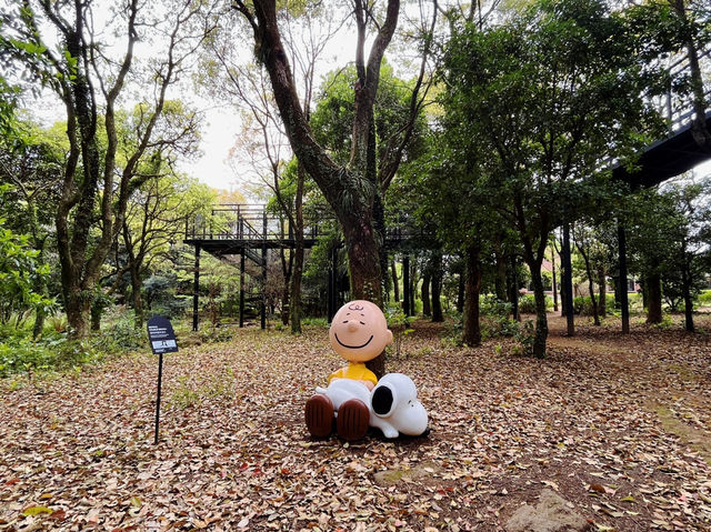 濟州島史努比花園