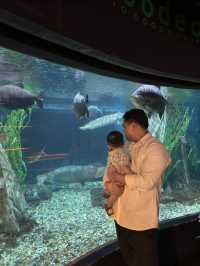Must-Visit in KL with Kids 🐠🇲🇾