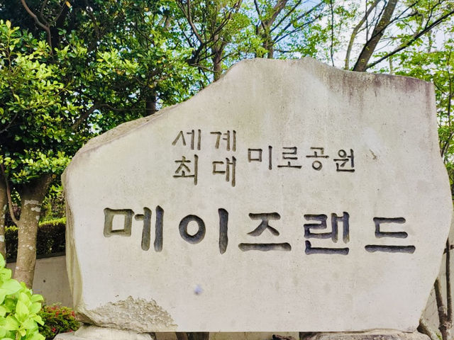 A Thrilling Challenge in Jeju's Green Labyrinths