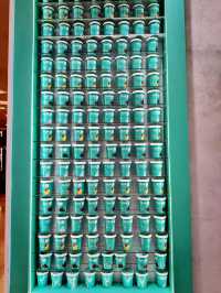 サンウェイで味わうコーヒーとヨーグルトのご褒美時間