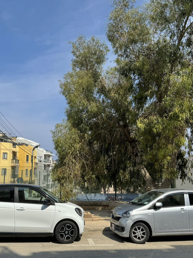 📅 지중해 감성 가득, 몰타 2박 3일 여행 코스 🇲🇹✨