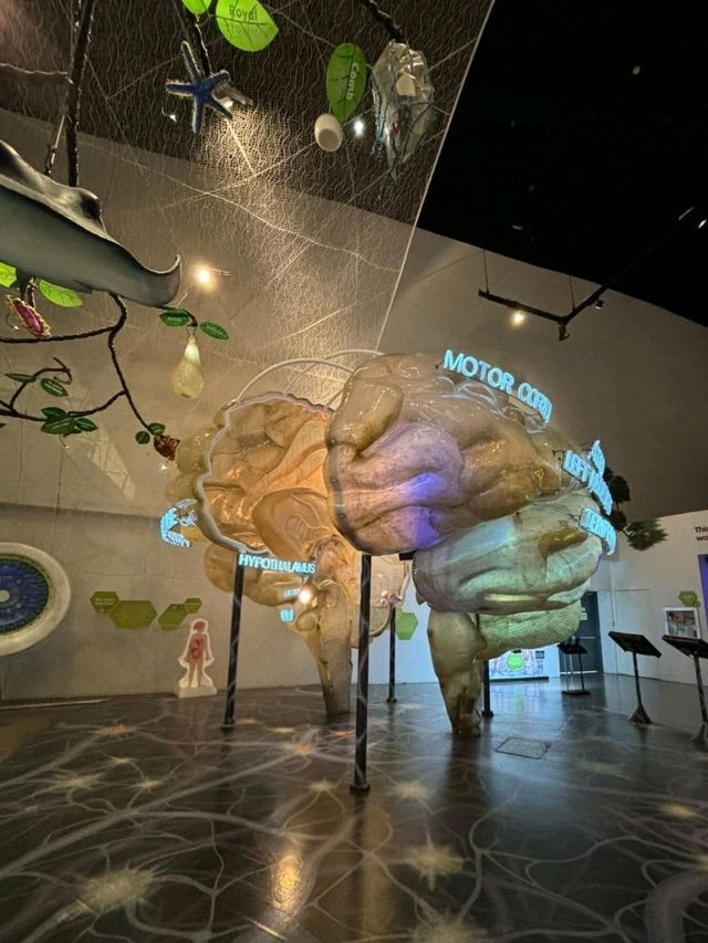 Mind-Blown at The Mind Museum, BGC