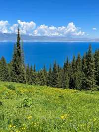 Alpine Serenity: Sayram Lake at the Edge of the World