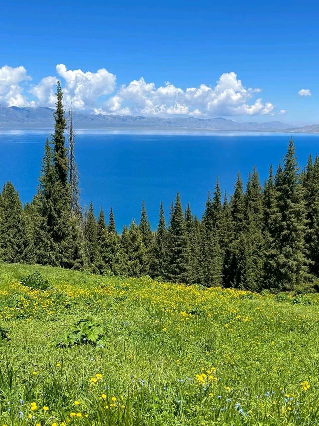 Alpine Serenity: Sayram Lake at the Edge of the World