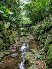 Refreshing Hike Along Hushan Nature Trail