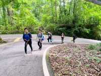 อุทยานแห่งชาติดอยขุนตาล