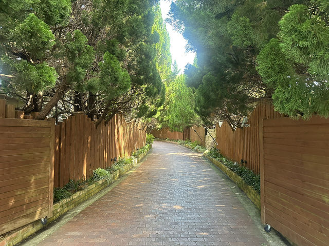【ぶどうの樹 岡垣本店｜福岡・岡垣町 「海・森・グルメが融合する体験型レストラン＆リゾート」】 