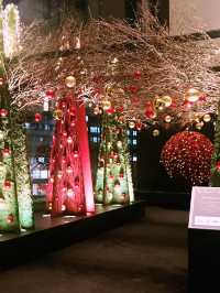 ✨ 丸の内クリスマス記録と2025 予測: 花と光の饗宴からマリオと共に彩る冬へ