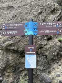 울릉도 모노레일🚊🩵