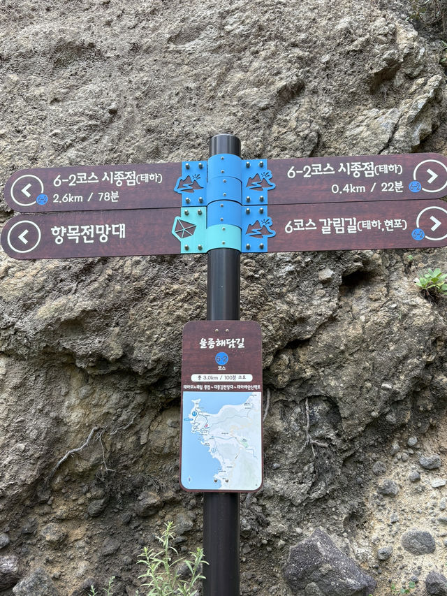 울릉도 모노레일🚊🩵