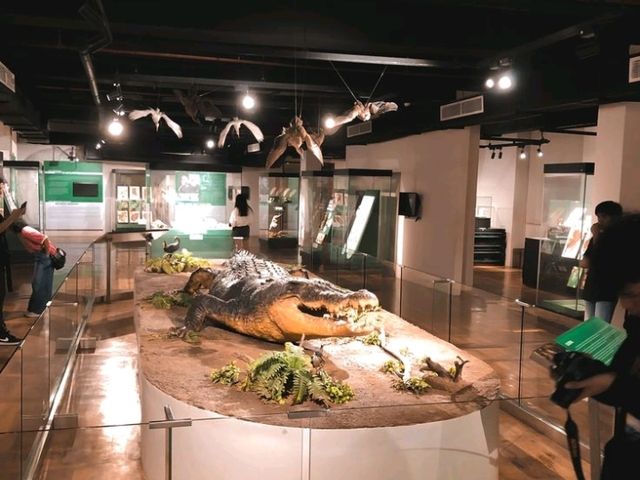 🎨 National Museum of Fine Arts – A Treasure of Philippine Art 