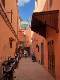 The Red City: The Medina of Marrakech