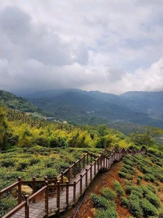 Be soothed by the sea of clouds and tea fields at Meishan Tai Xing Village.