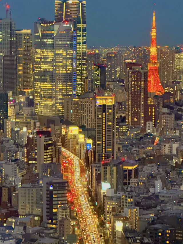 🌃 도쿄의 낮과 밤, 어디가 더 좋을까? ✨
