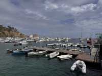 미스터트롯3 TOP7과 함께한 환상의 크루즈 여행, 카탈리나 섬과 엔세나다에서 선상 갈라쇼까지!