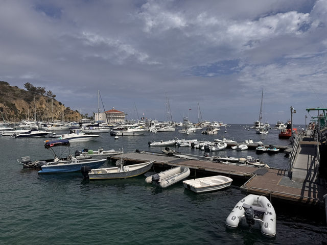 미스터트롯3 TOP7과 함께한 환상의 크루즈 여행, 카탈리나 섬과 엔세나다에서 선상 갈라쇼까지! 미스터트롯3 TOP7과 함께한 환상의 크루즈 여행, 카탈리나 섬과 엔세나다에서 선상 갈라쇼까지!