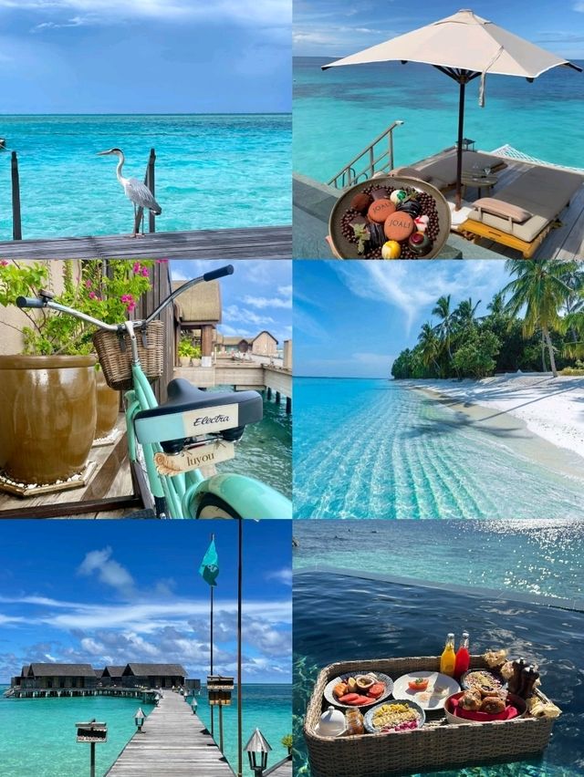 Maldives: A Dream of Turquoise Waters and White Sands