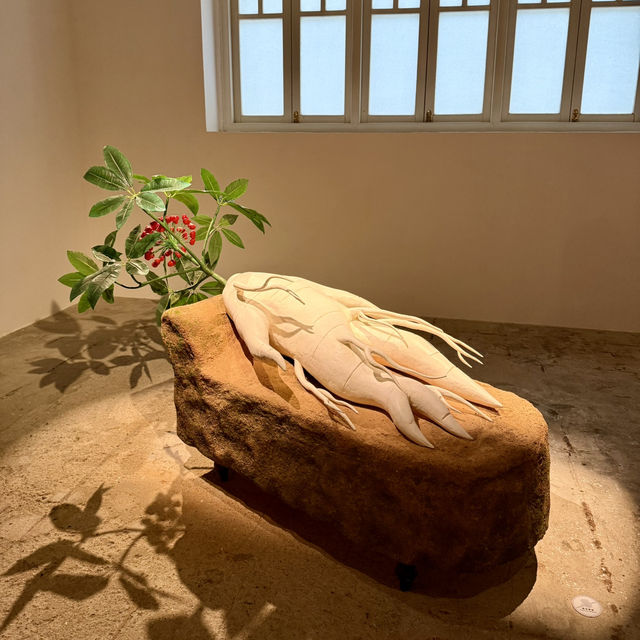 油街實現 Oi!：藝術與歷史文化之旅 🎨 