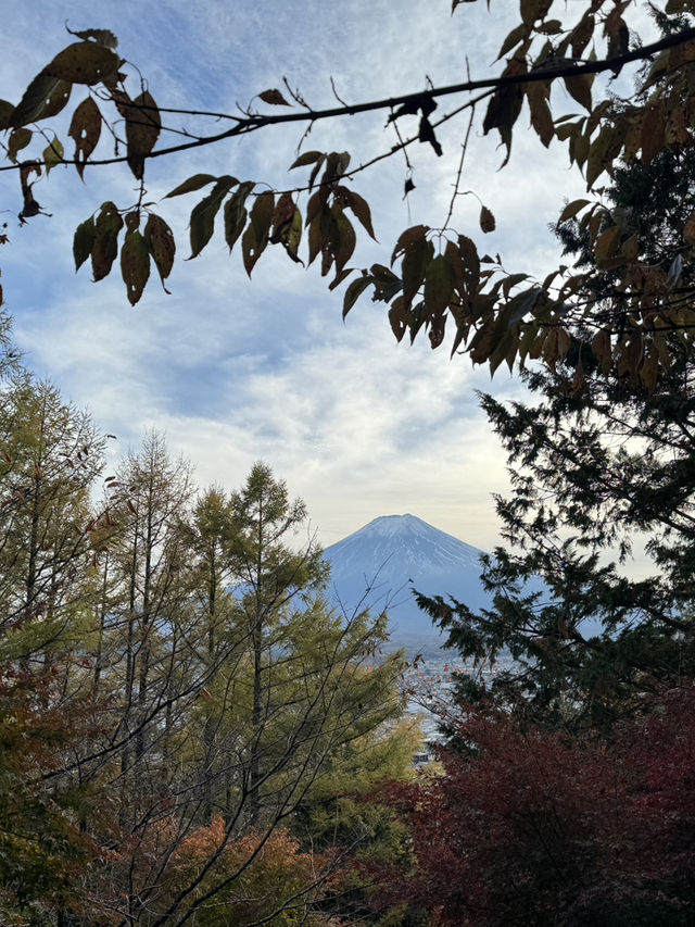 東京｜富士淺間神社｜山梨靈氣聖地｜富士山信仰的千年古祠