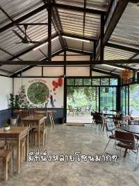 ไร่ชาวังพุดตาล ดอยแม่สลอง 