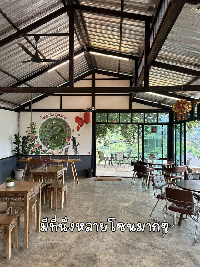 ไร่ชาวังพุดตาล ดอยแม่สลอง 