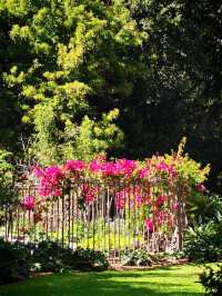 Veale Gardens – Adelaide, Australia