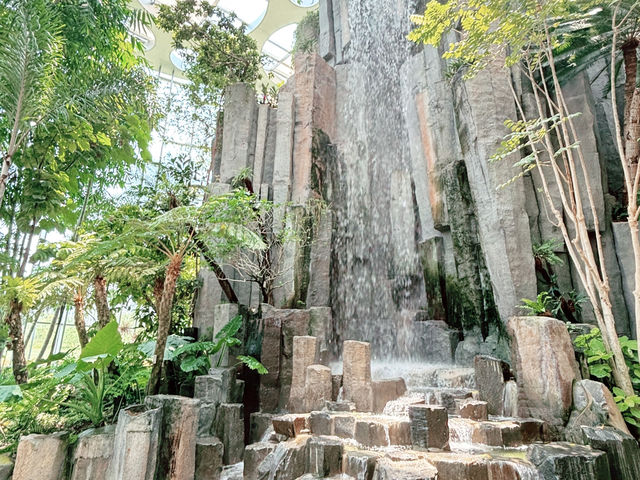 🌵【上海新地標！亞洲最大溫室花園「上海溫室花園」開放啦～沙漠雨林一次看夠，隨手一拍就是科幻大片！】🌵
