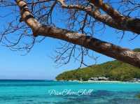 หาดเทียน เกาะล้าน