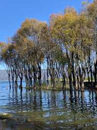 เป็นชื่อท่าเรือหนึ่งริม 洱海 (ทะเลสาบเอ๋อไห่) ที่เมื