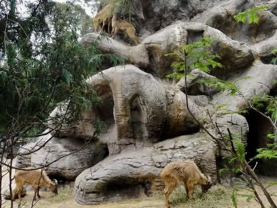 百萬城市美景的「塔龍加動物園」 百萬城市美景的「塔龍加動物園」