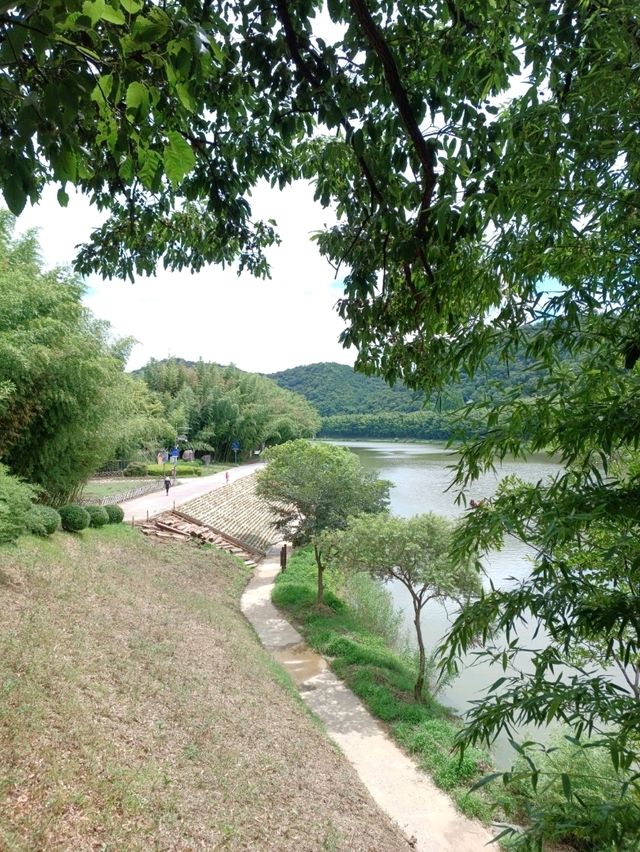 도심 속 자연 천국 🌿