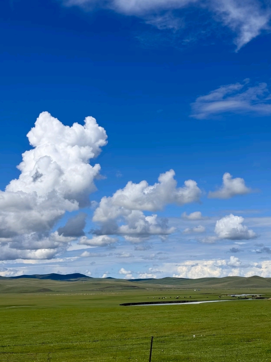 From Grasslands to Culture: Why Hulunbuir is a Family’s Dream Destination