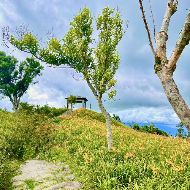 卡通玩偶貓貓蟲咖波及金針花仙子朵拉在六十石山等你同框
