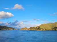 Journey from North to South Island of New Zealand by ferry