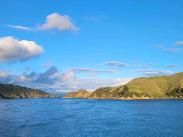 Journey from North to South Island of New Zealand by ferry