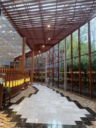 嘉義景點 阿里山賓館 神木 車站