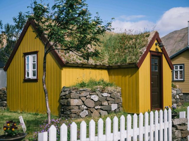 Wild Iceland Viewspot with Penguins