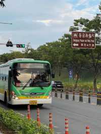 🌿 A Day in Gyeongju – Korea’s Ancient Capital 🌿