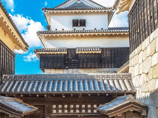 Matsuyama Castle 