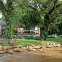 🌳🌱Flora Creek Chiang Mai ที่พักกลางขุนเขา