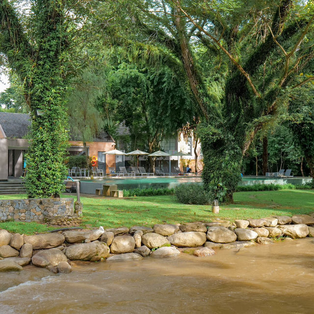 🌳🌱Flora Creek Chiang Mai ที่พักกลางขุนเขา