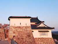 The Castle in the Mist: My Return to Tsuyama Castle
