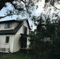 Cape Lavender Teahouse