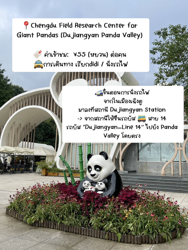 🐼📍เที่ยวเฉิงตู Panda Valley Dujiangyan🎋✨