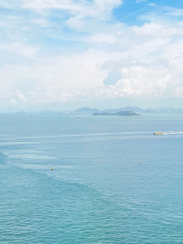 🌉 Hong Kong's Ocean & Traffic Symphony: Where Sea Meets City Pulse! 🚖