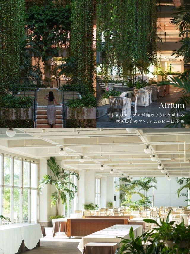【沖縄】もっと早く泊まりたかった自然と建築美に癒される圧倒的なリゾート🌴
