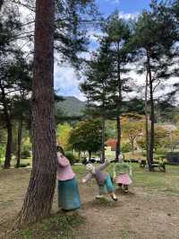 아름다운 가을 공원🌳