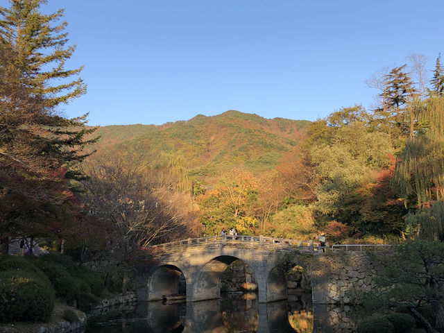 🛕 천년의 시간이 머문 곳, 경주 불국사