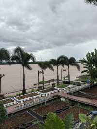 ร้านอาหารเป็นปลาเป็น นครพนม